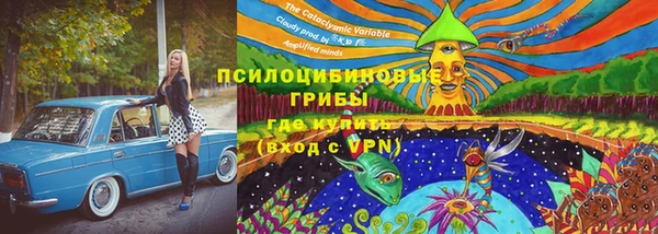 ешки Алзамай
