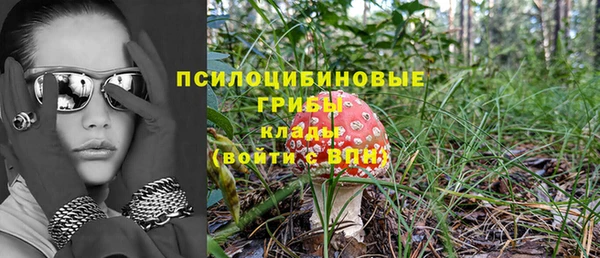 ешки Алзамай