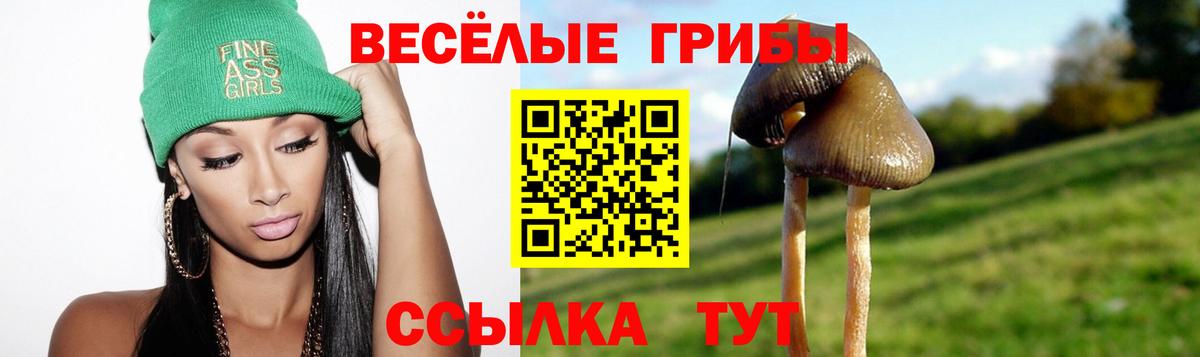 Галлюциногенные грибы прущие грибы  Псилоцибиновые грибы MAGIC MUSHROOMS  Вход с VPN  Полевской 